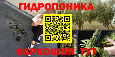 MDMA Новозыбков