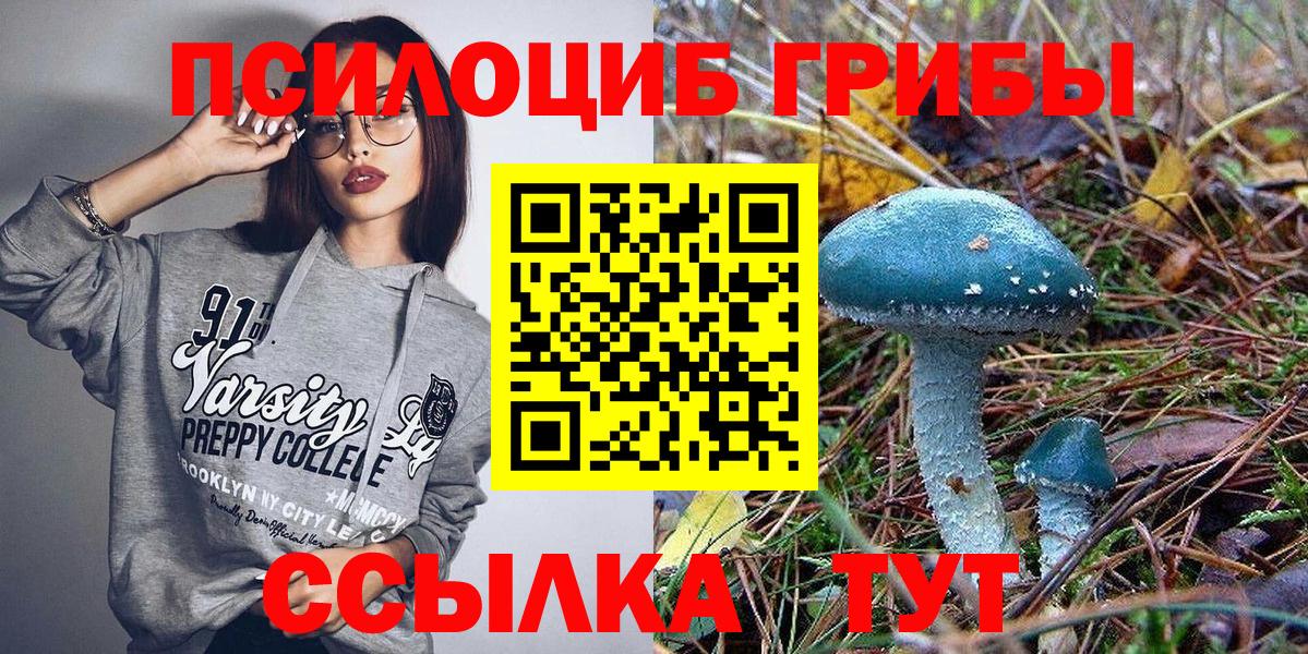 Тайшет  Псилоцибиновые грибы мицелий  Вход с VPN 