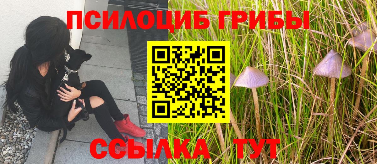 Псилоцибиновые грибы MAGIC MUSHROOMS Тайшет